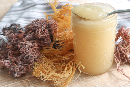 Organic Sea Moss Gel (512g)